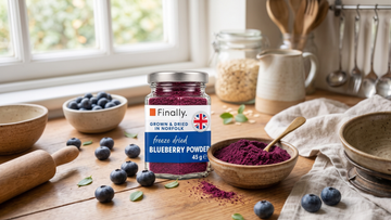 Jar of Finally. Freeze Dried Blueberry Powder beside a bowl of purple powder and fresh blueberries on a kitchen worktop